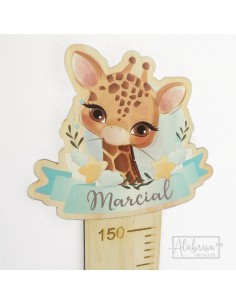 Medidor Personalizado... 2