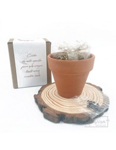 Maceta Cerámica Diseño Floral 2